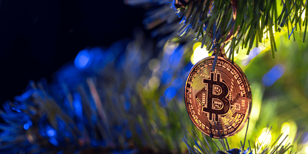 Crypto Winter and Portfolio Resilience Strategies for Financial Advisors